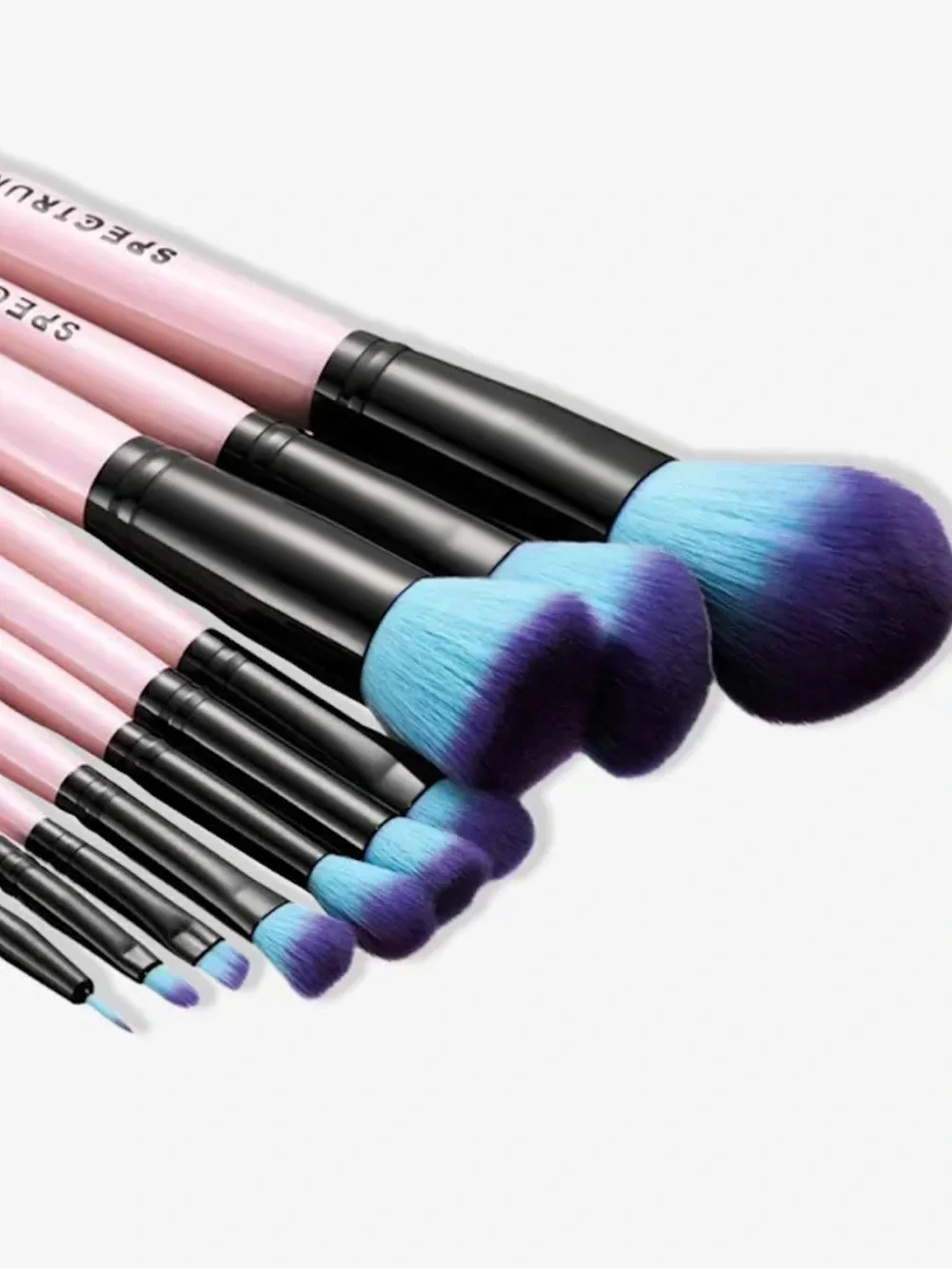 Spectrum Collections 10 Piece Essential Makeup Brush Set BRAND NEW IN BOX